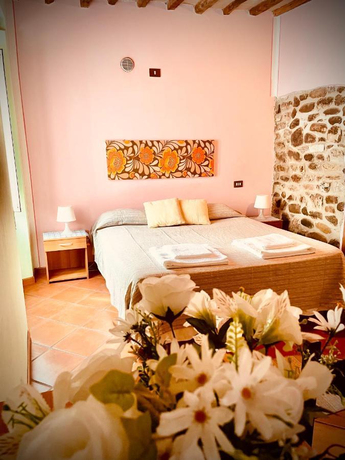 Hotel In Castello Gallicano Exteriér fotografie